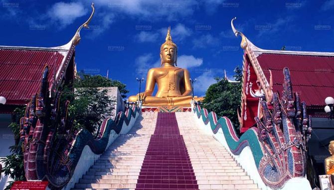 تور پاتایا - رسپینا 24